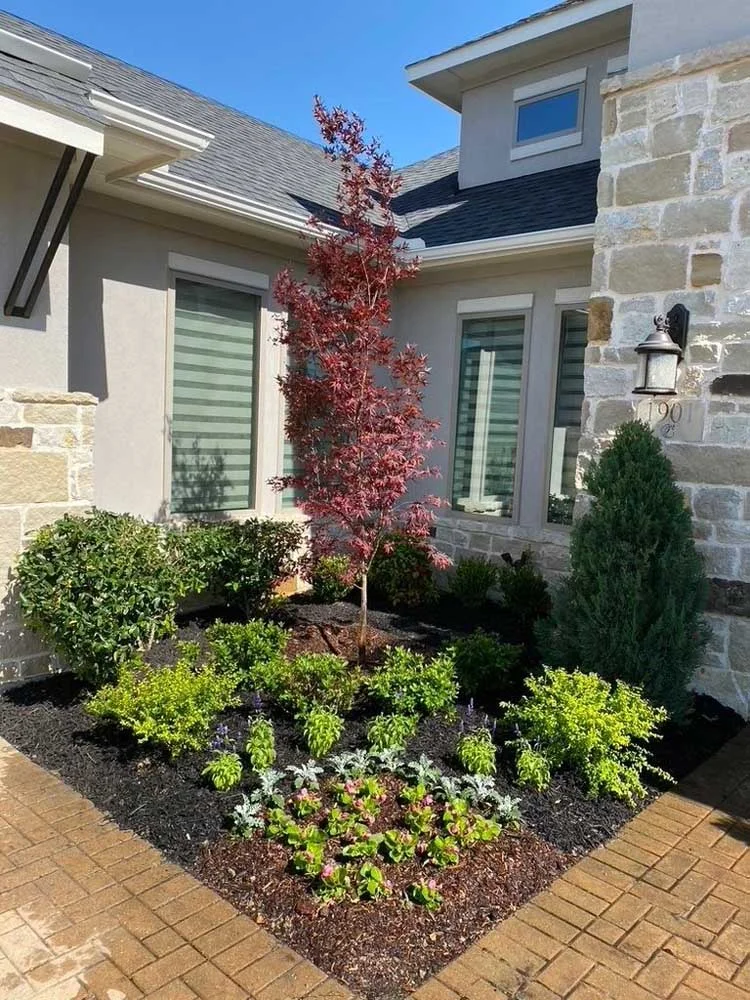 A front yard landscaped with a tree and shrubs.